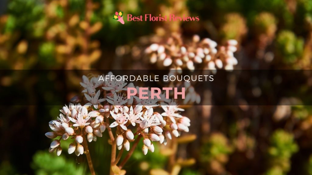 12 FLOWER DELIVERY SERVICES IN PERTH WITH AFFORDABLE BOUQUETS FROM $ 25