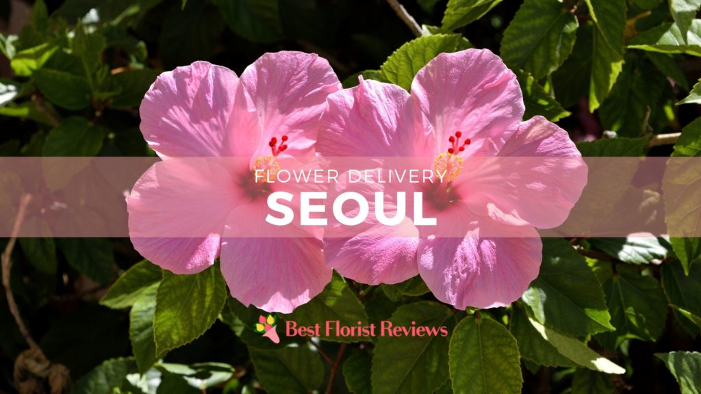 flower delivery seoul