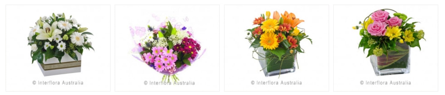 FLOWER DELIGHTS