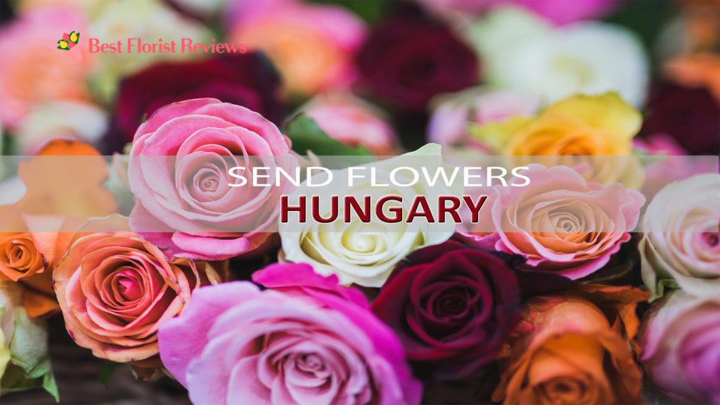 SEND FLOWERS TO HUNGARY