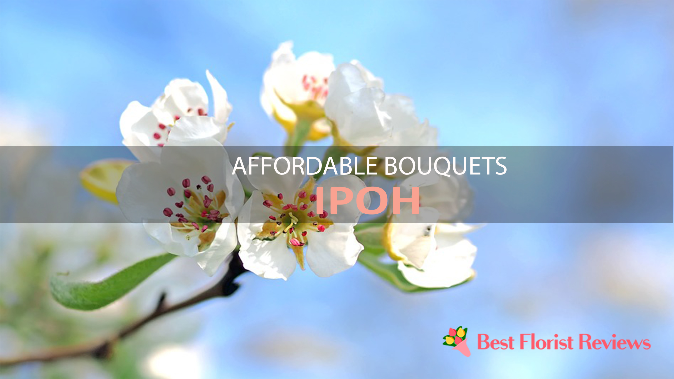 7 Flower Delivery Services In Ipoh With Affordable Bouquets From Rm 8 Bestfloristreview