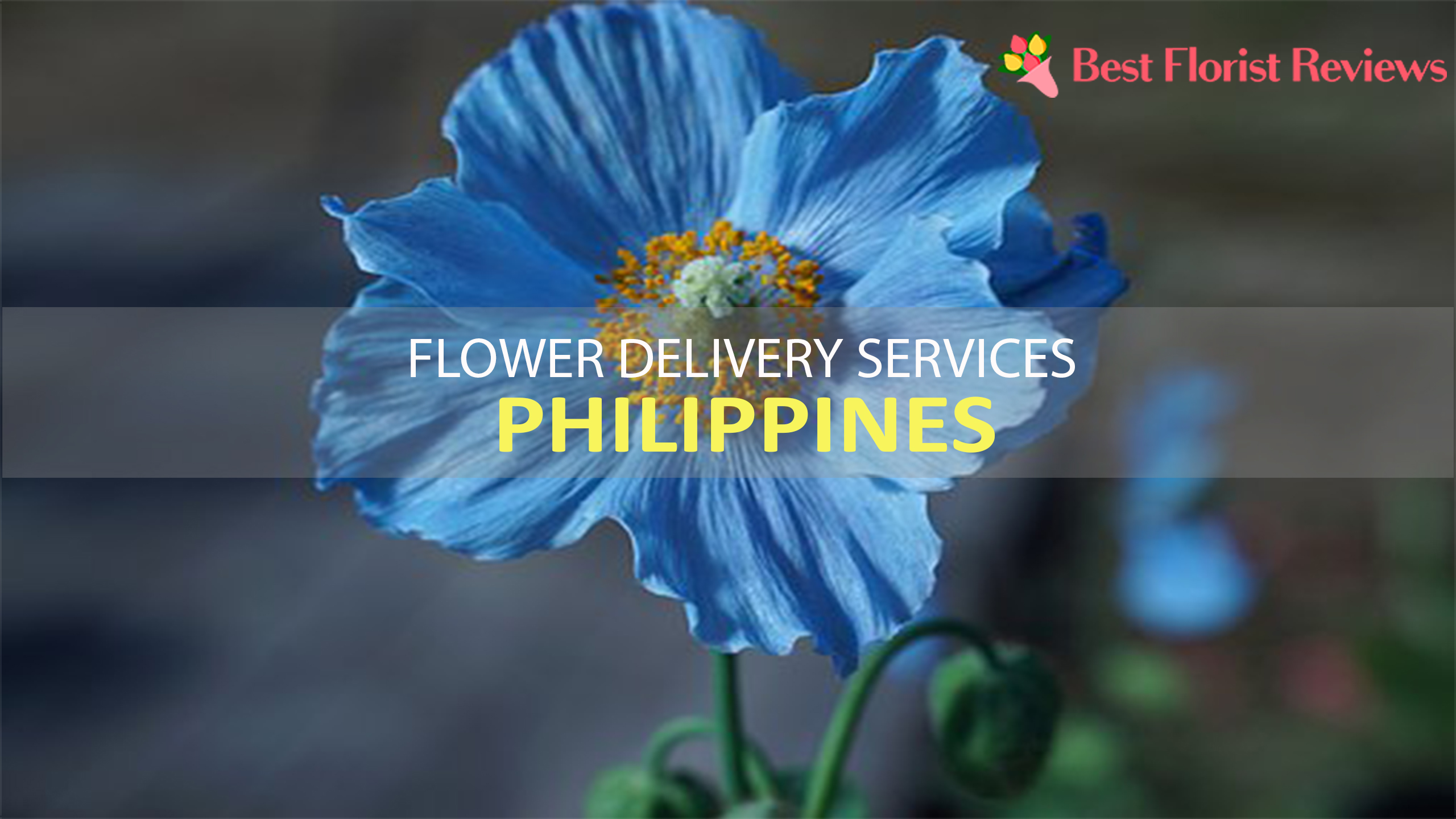 BEST FLOWER DELIVERY PHILIPPINES