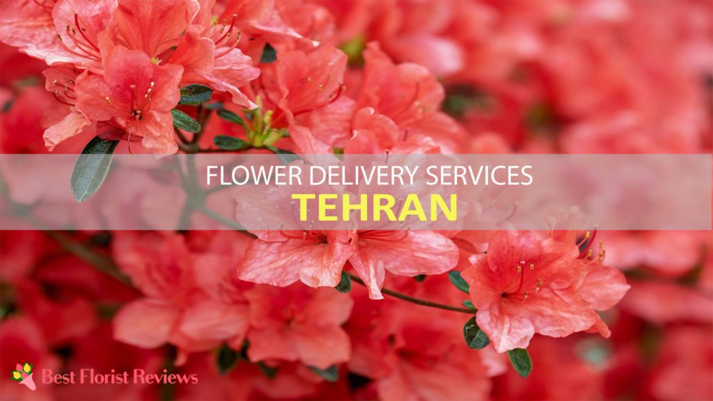 FLOWER DELIVERY IN TEHRAN