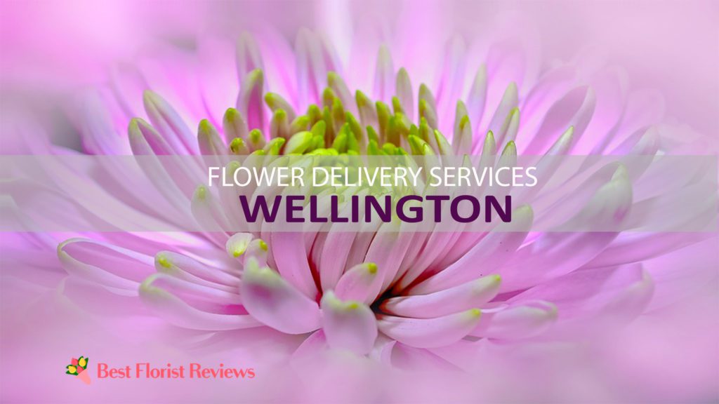 FLOWER DELIVERY WELLINGTON