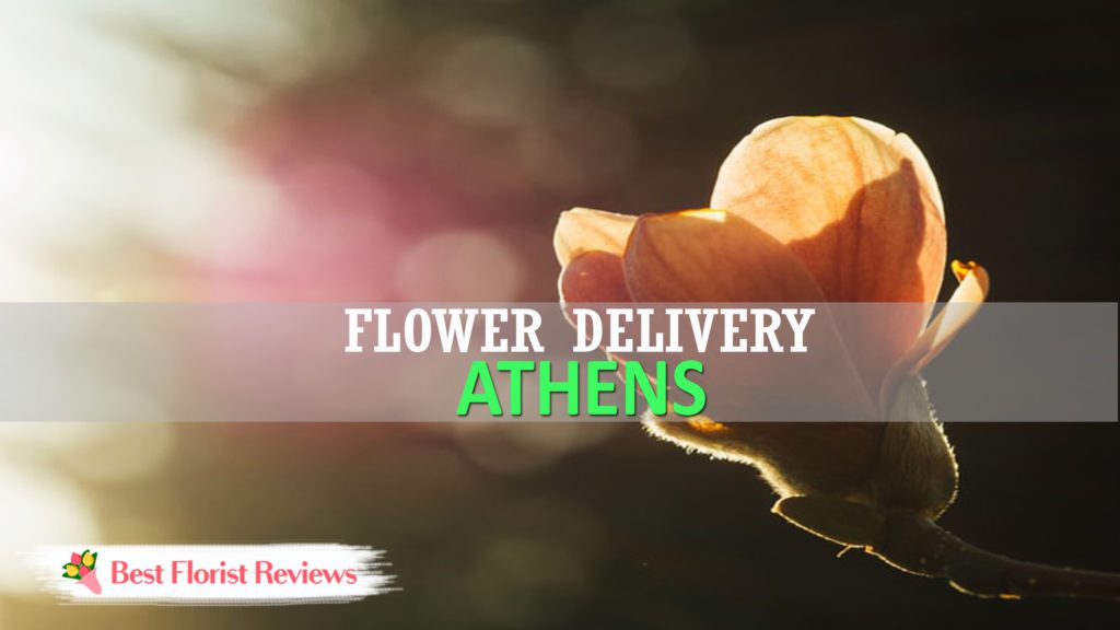 Best Flower Delivery Athens