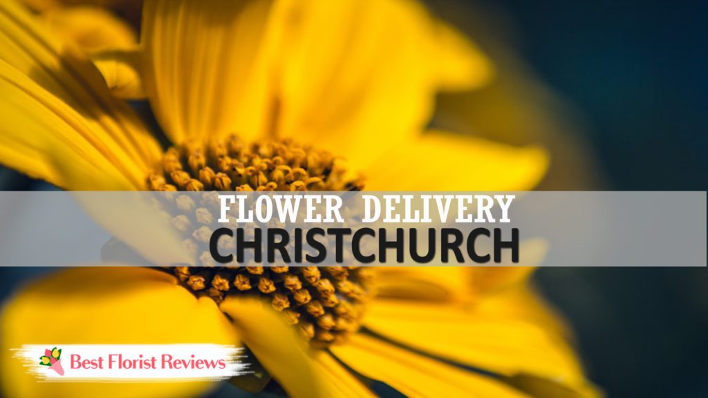 Best Flower Delivery Christchurch