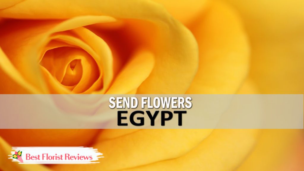 SEND FLOWERS EGYPT