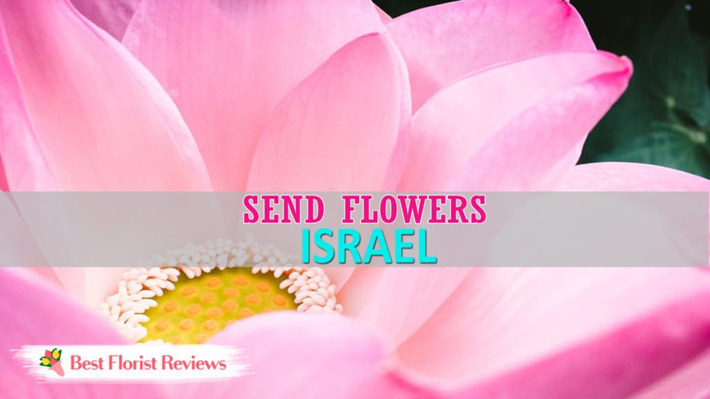 BEST TO SEND FLOWERS ISRAEL