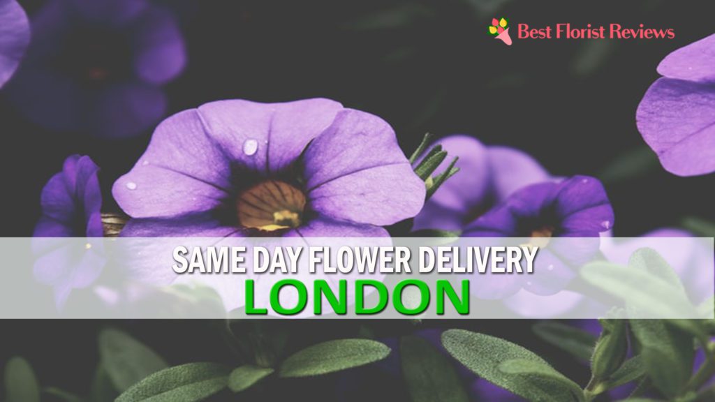 BEST SAME DAY FLOWER DELIVERY LONDON