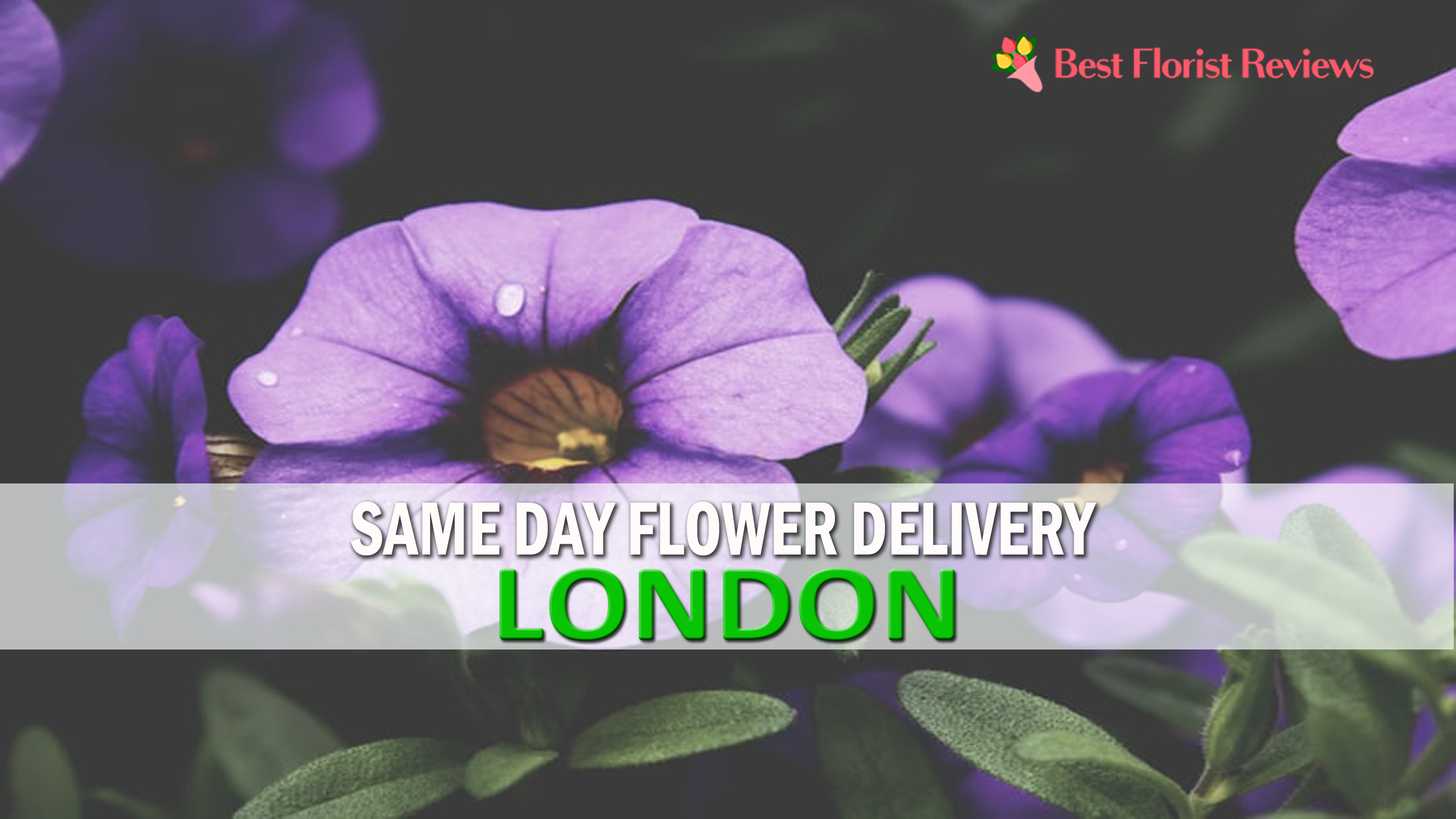 THE 14 BEST OPTIONS FOR SAME DAY FLOWER DELIVERY IN LONDON ...