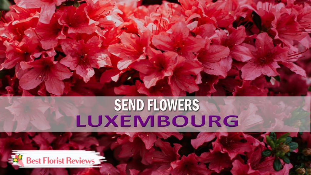 SEND FLOWERS LUXEMBOURG