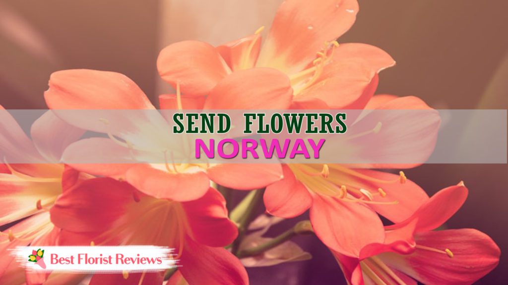 Best Send Flowers Norway