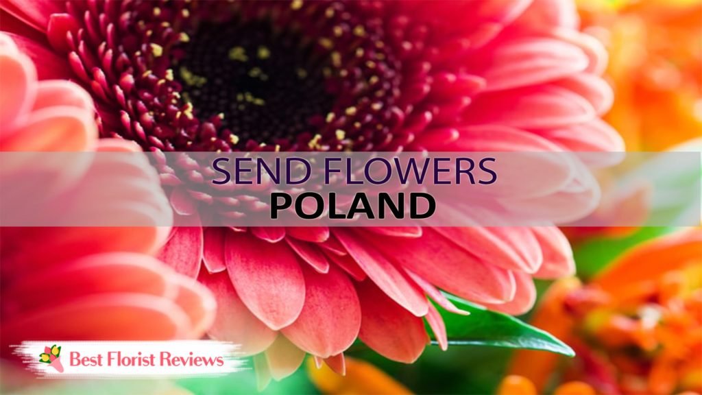 Best Send Flowers Poland