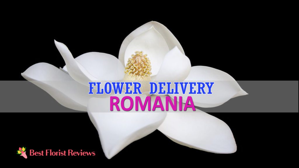 Best Flower Delivery Romania