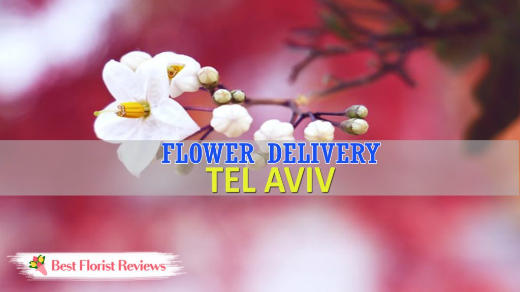 BEST FLOWER DELIVERY TEL AVIV