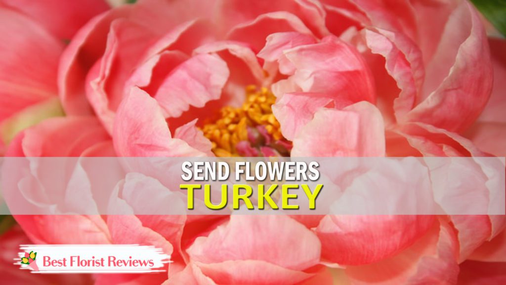 SEND FLOWERS TURKEY