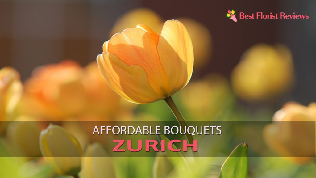 AFFORDABLE BOUQUETS ZURICH