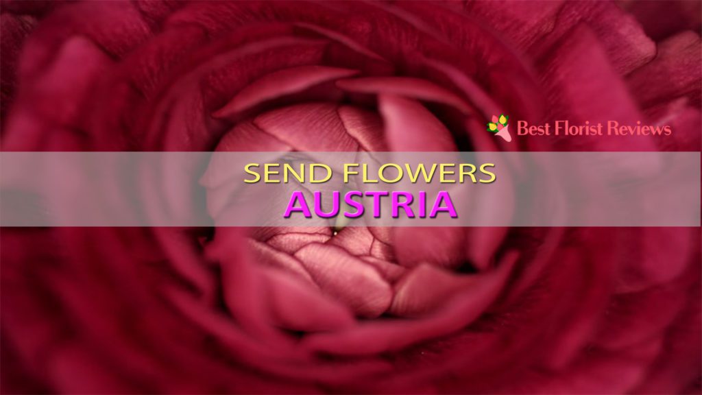 Send Flowers to Austria