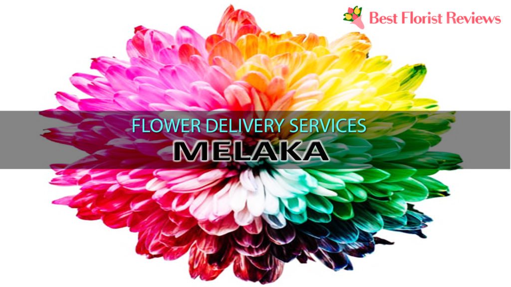 Best Melaka Flower Delivery