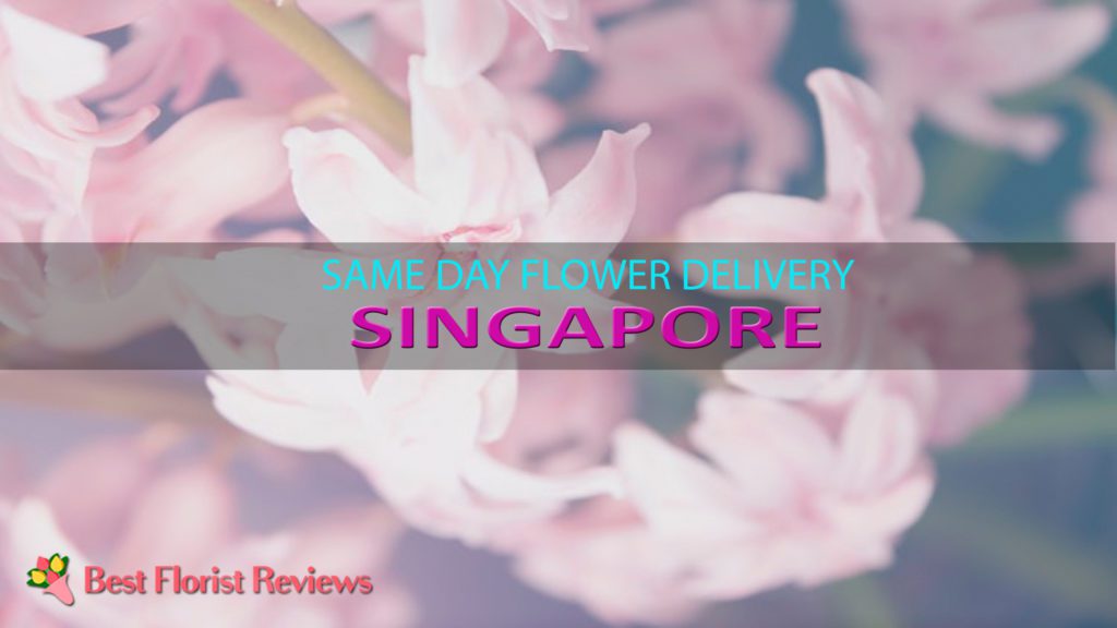 Same Day Flower Delivery Singapore