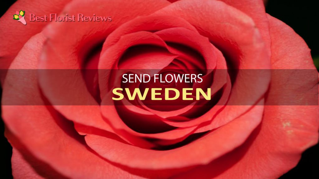 Send Flowers Sweden