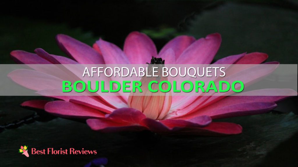 BEST FLOWER DELIVERY BOULDER CO