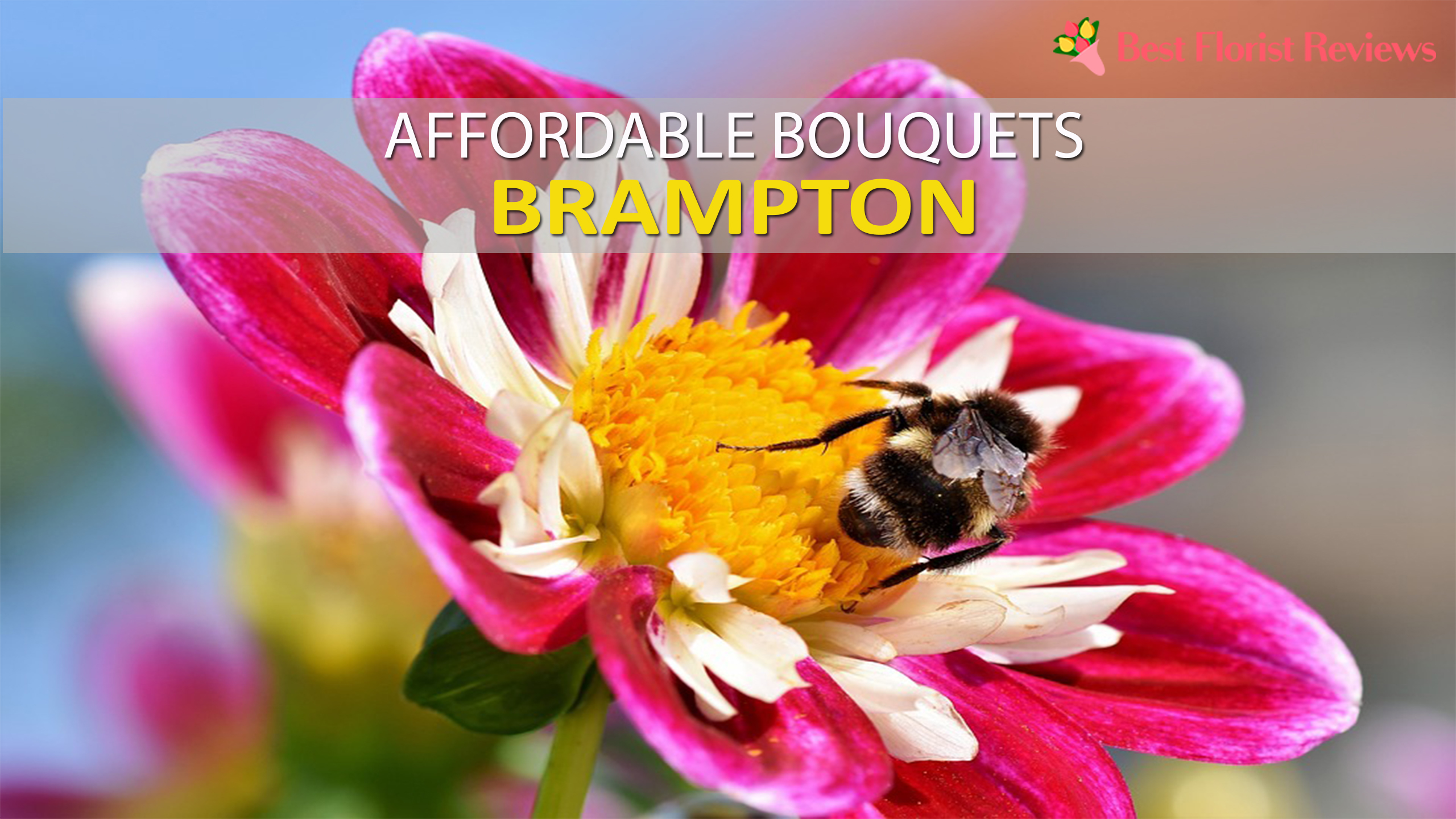 The 7 Flower Delivery Services In Brampton With Affordable Bouquets From 25 Bestfloristreview The 7 Flower Delivery Services In Brampton With Affordable Bouquets From 25 Bestfloristreview
