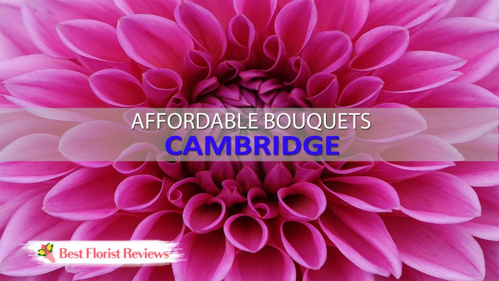 BEST FLOWER DELIVERY CAMBRIDGE