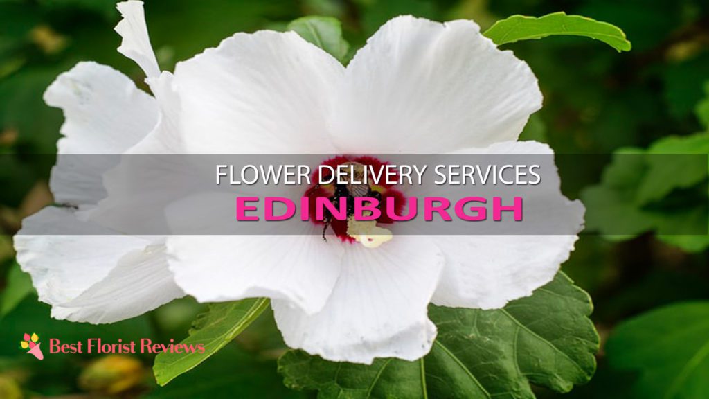 BEST FLOWER DELIVERY SERVICES EDINBURGH