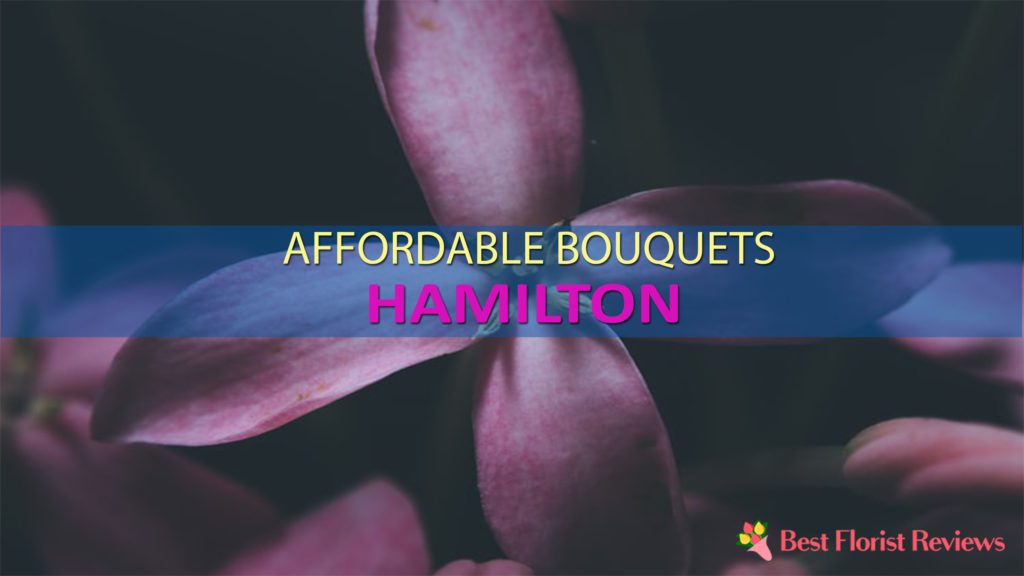 BEST FLOWER DELIVERY HAMILTON