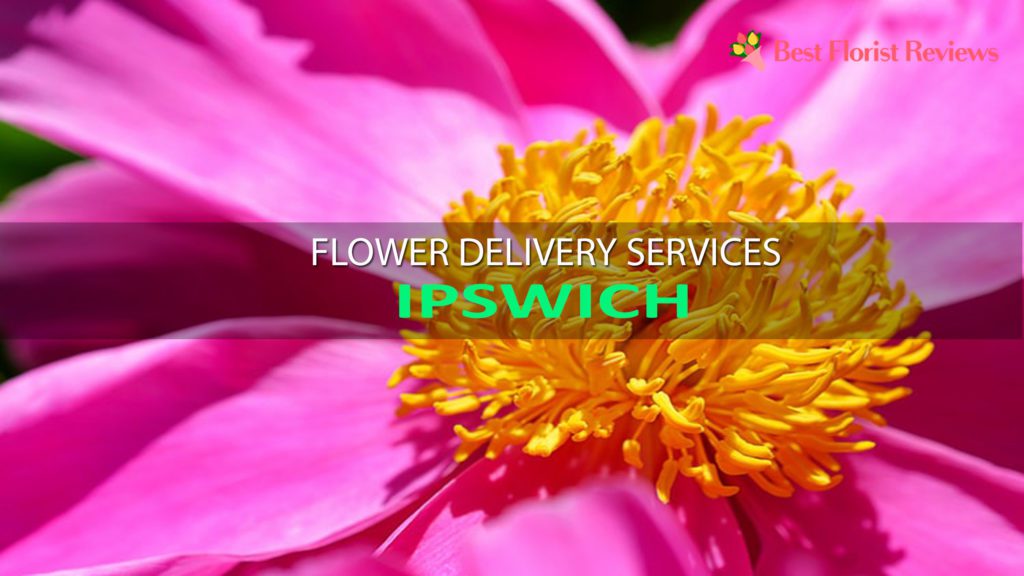 BEST FLOWER DELIVERY SERVICES IPSWICH