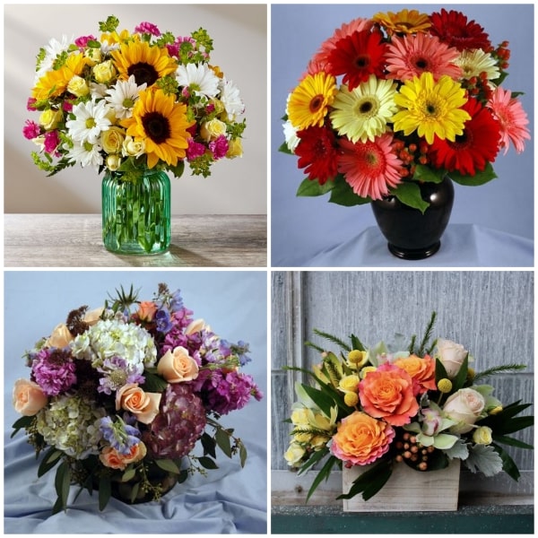 The 6 Flower Delivery Services in Rochester Mn With ...