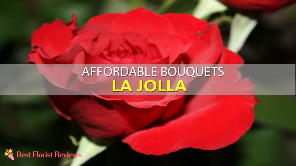 BEST FLOWER DELIVERY LA JOLLA