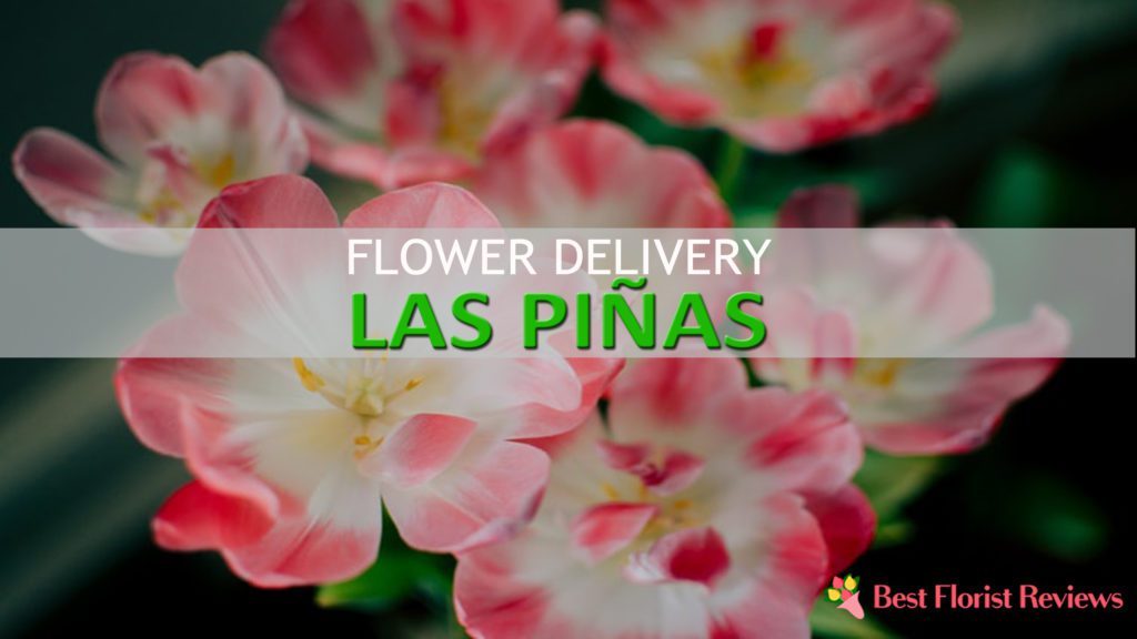 BEST FLOWER DELIVERY LAS PIÑAS