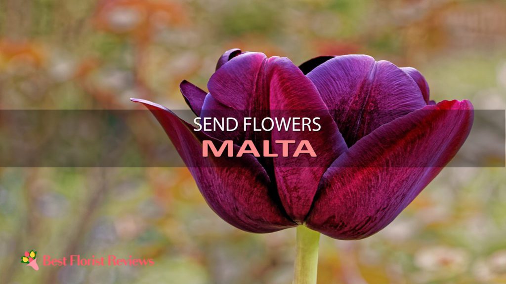 BEST SEND FLOWERS MALTA