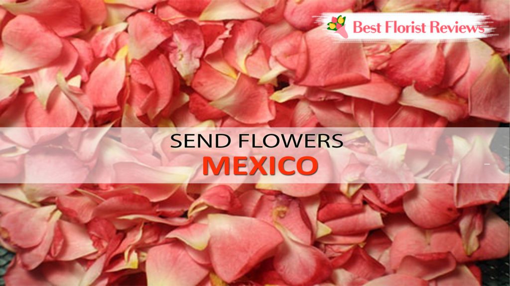 SEND FLOWERS MEXICO