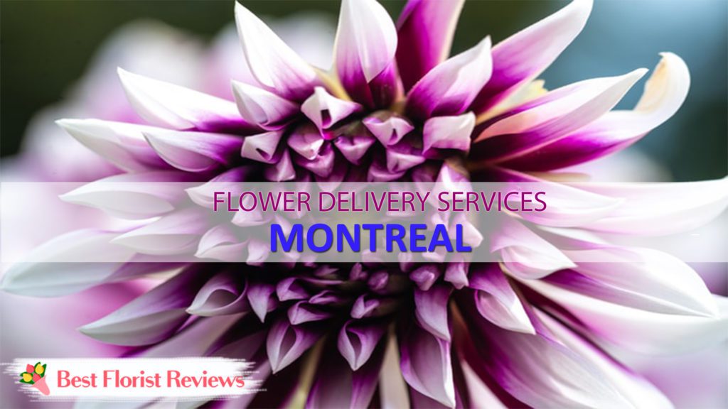 Best Flower Delivery Montreal