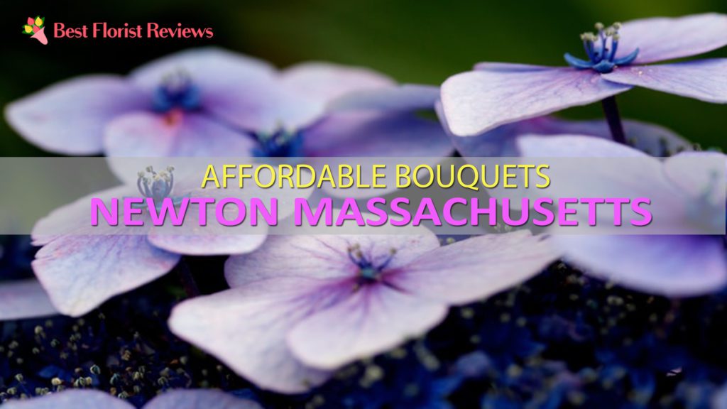 BEST FLOWER DELIVERY NEWTON MA