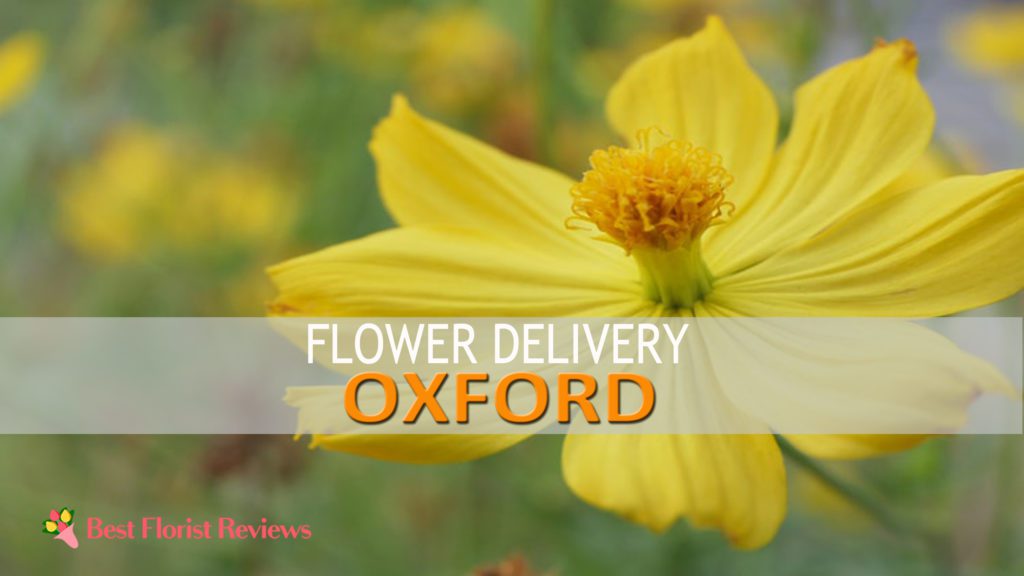 BEST SEND FLOWERS OXFORD