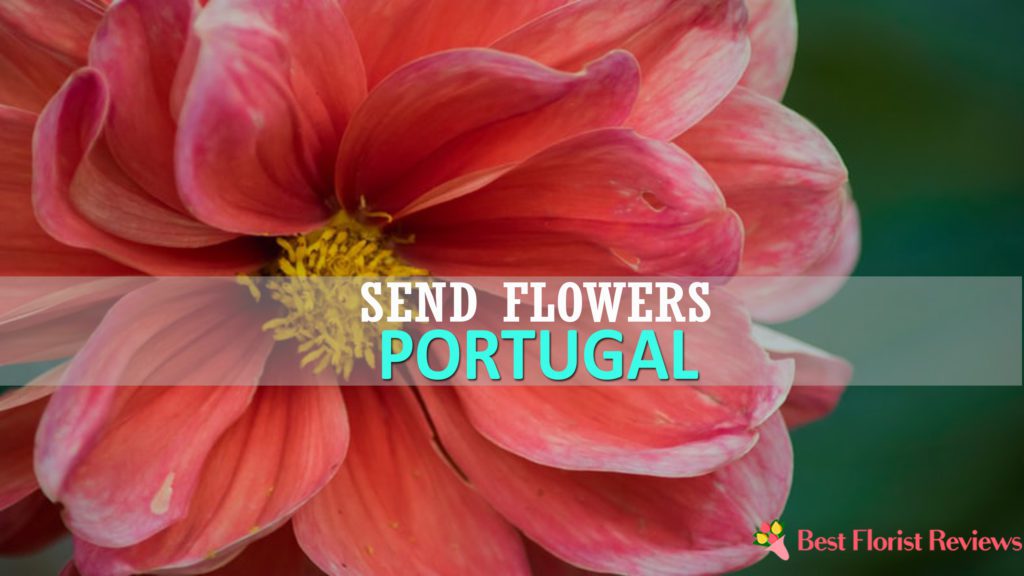 Best Send Flowers Portugal