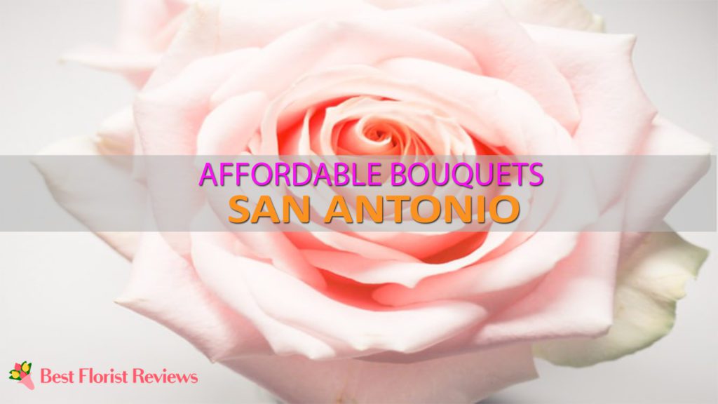 FLOWER DELIVERY SAN ANTONIO