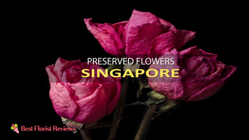 BEST PRESERVED FLOWERS SINGAPORE