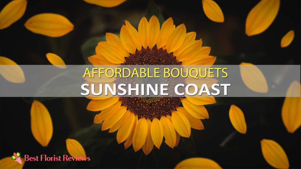 BEST FLOWER SUNSHINE COAST