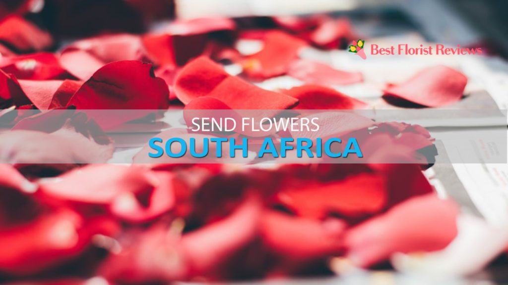 BEST SEND FLOWERS SOUTH AFRICA