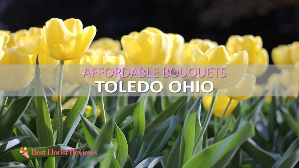 BEST FLOWER DELIVERY TOLEDO