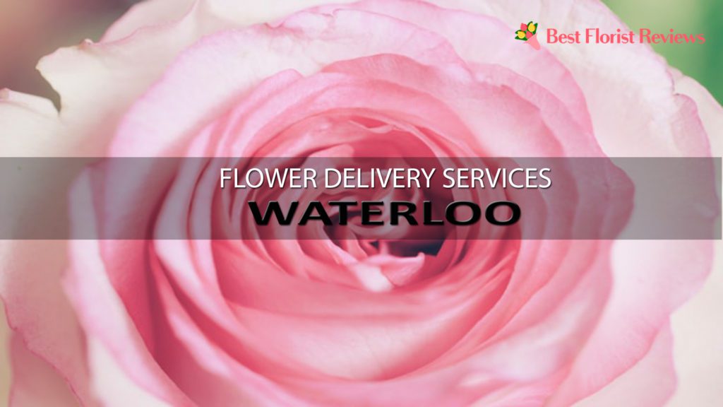 BEST FLOWER DELIVERY SERVICES WATERLOO
