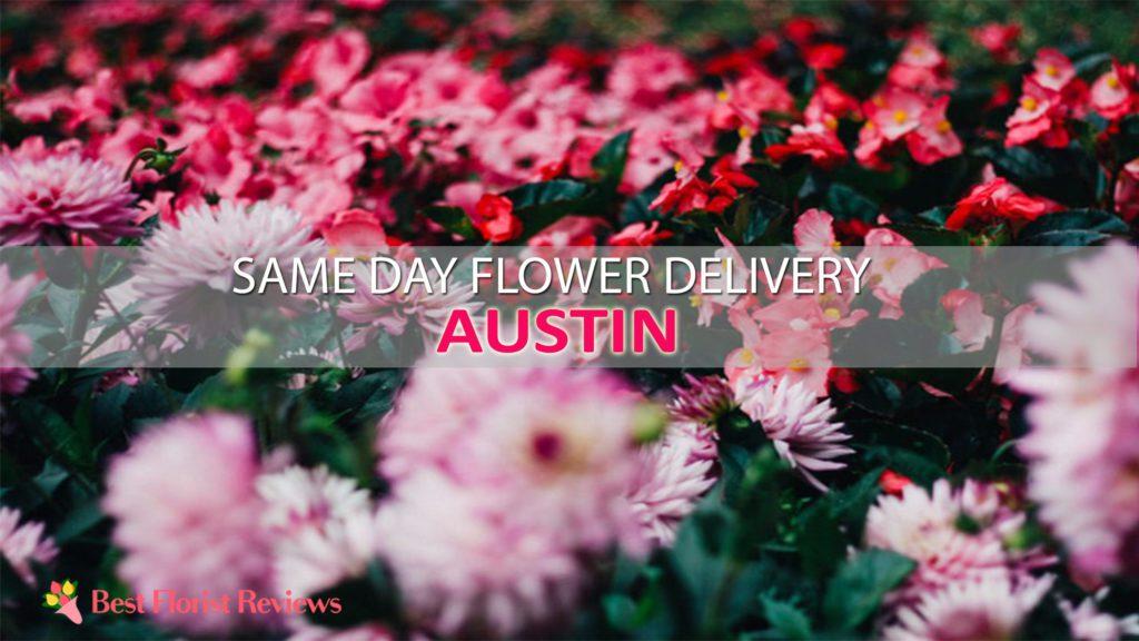 SAME DAY DELIVERY AUSTIN