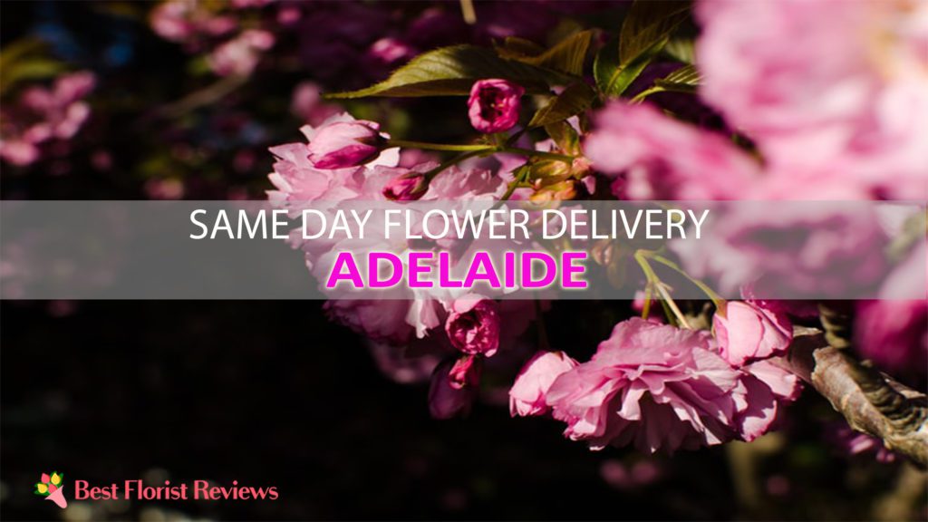 SAME DAY DELIVERY ADELAIDE