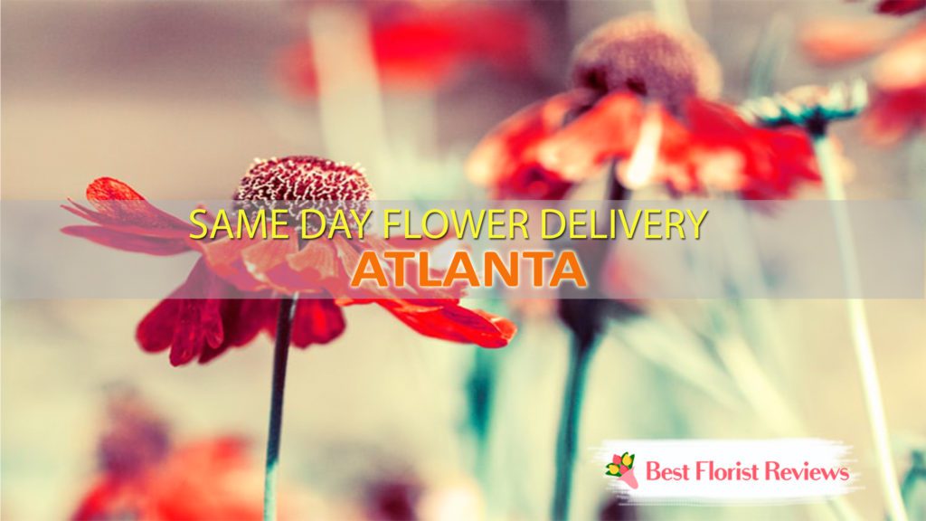 SAME DAY DELIVERY ATLANTA