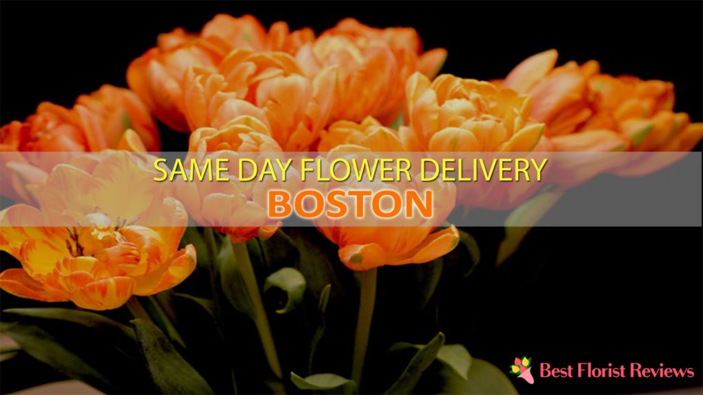 SAME DAY DELIVERY BOSTON